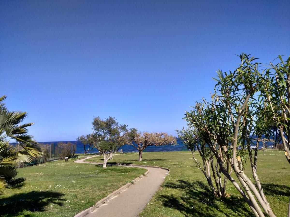Studio A 100M De La Plage Et De La Piscine Cervione Exteriör bild