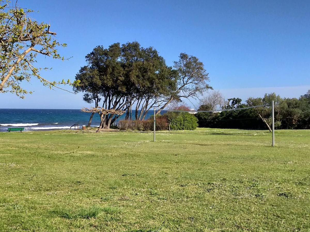 Studio A 100M De La Plage Et De La Piscine Cervione Exteriör bild